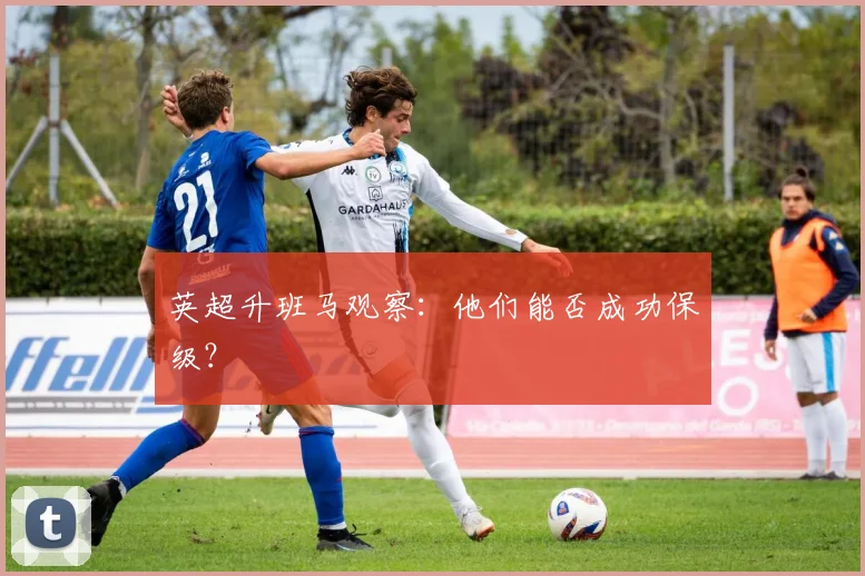英超升班马观察:他们能否成功保级?