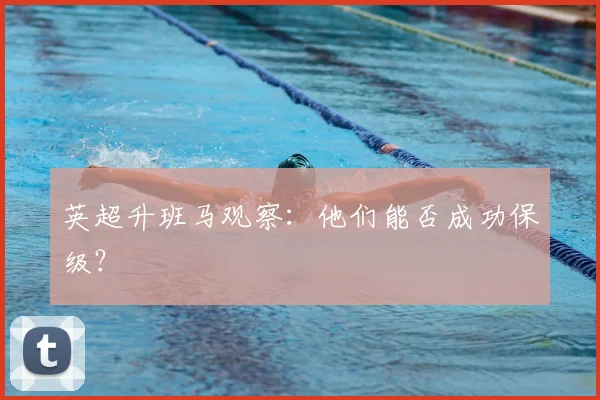 英超升班马观察:他们能否成功保级?